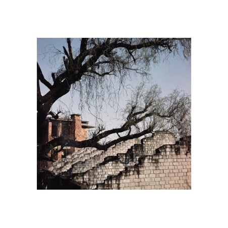 Lomochrome Metrópolis 120mm ISO 100-400