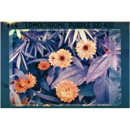Analogue pocket trio 110 - pack 3 carretes películas surtidas Lomography