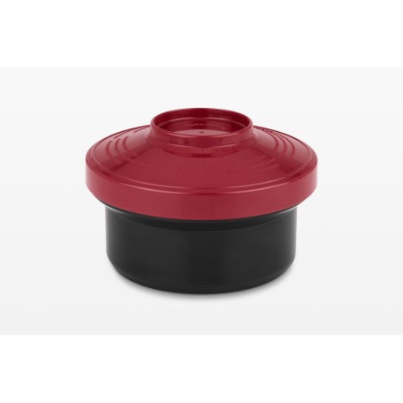 Tanque de revelado Lomo DayLight