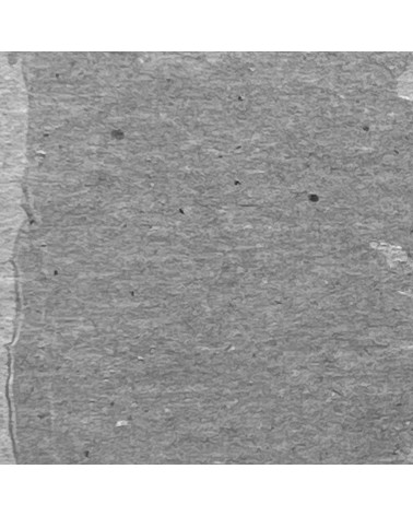 Texture paste translucent - Tim Holtz