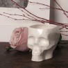 Vaso de porcelana Calavera