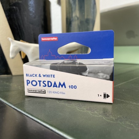 Potsdam b&w 120mm ISO 100