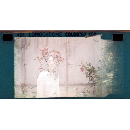 Lomochrome Color'92 Sun-kissed 110mm ISO 400