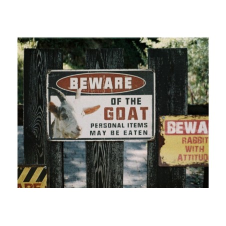 Lomochrome Color'92 Sun-kissed 110mm ISO 400