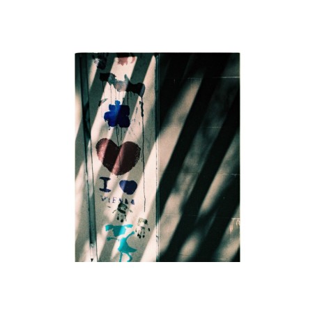 Lomochrome Turquoise 110mm ISO 100-400