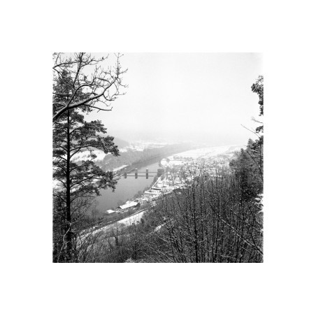 Lady Grey b&w 120mm ISO 400 pack 3