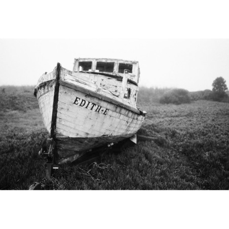 Potsdam Kino b&w 35mm ISO 100