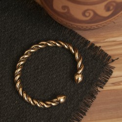 Torques brazo Brigit